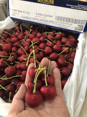 Aifruitboxes - Cherry Mỹ Đỏ S9.5-Thùng 5Kg