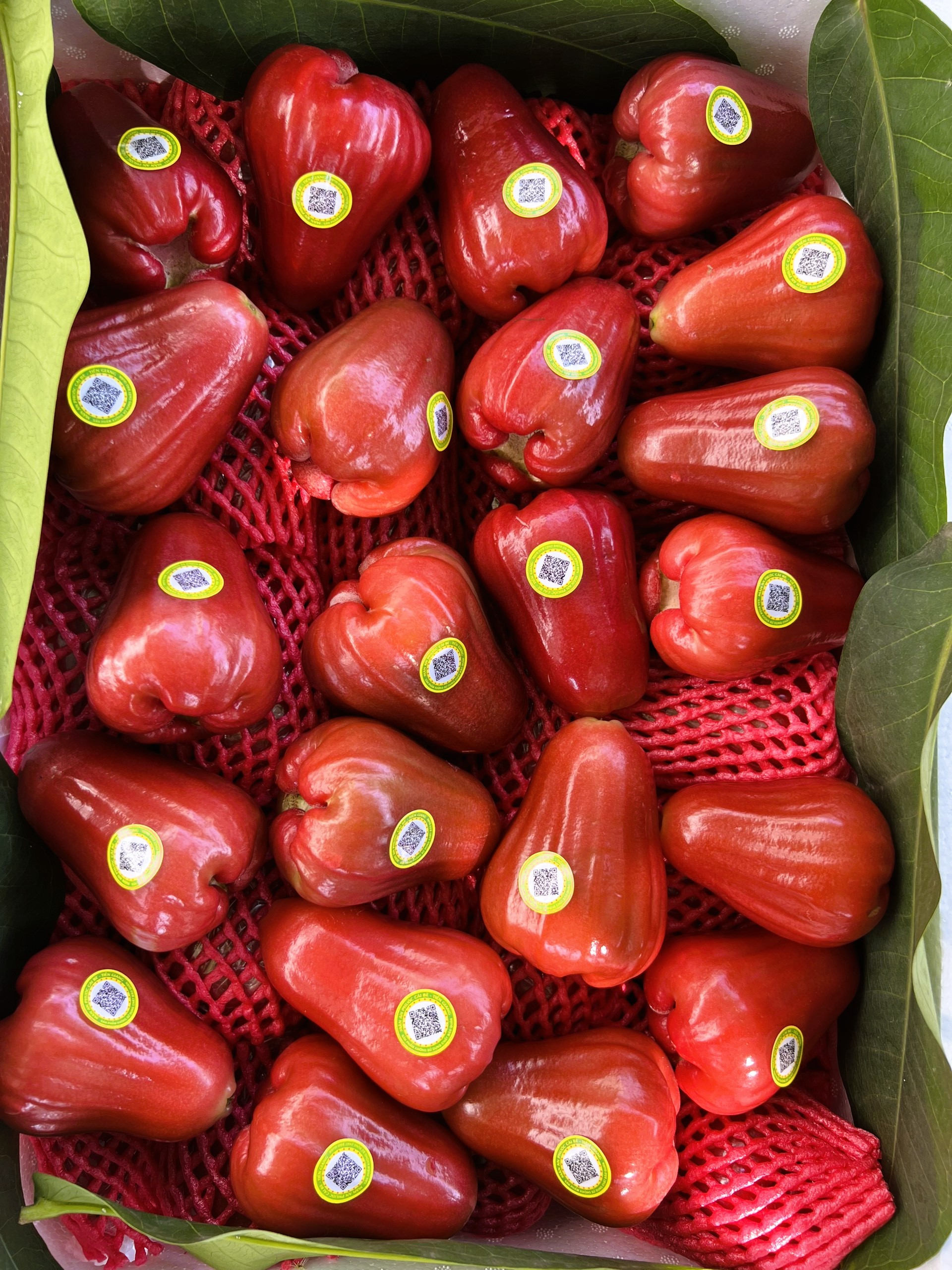 AiFruitBoxes - Mận Đỏ An Phước Canh Tác An Toàn